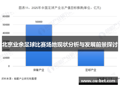北京业余足球比赛场地现状分析与发展前景探讨