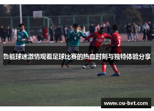 鲁能球迷激情观看足球比赛的热血时刻与独特体验分享